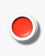 MANASI 7 All Over Colour Creamy Finish
